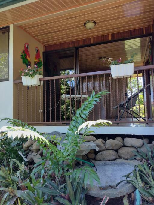 Eco Villas Tambor Tucanes Exterior photo