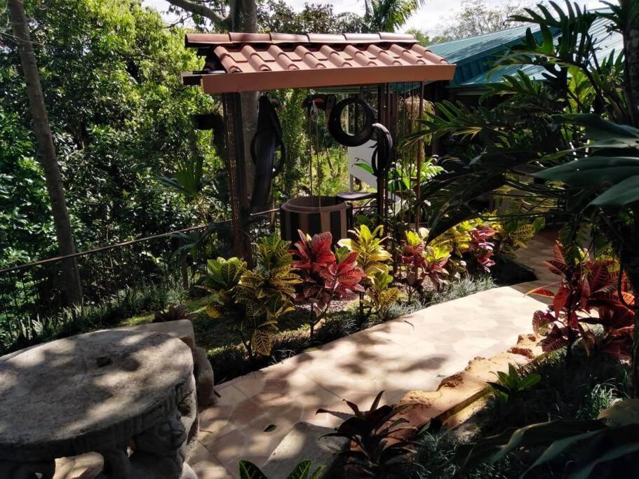 Eco Villas Tambor Tucanes Exterior photo
