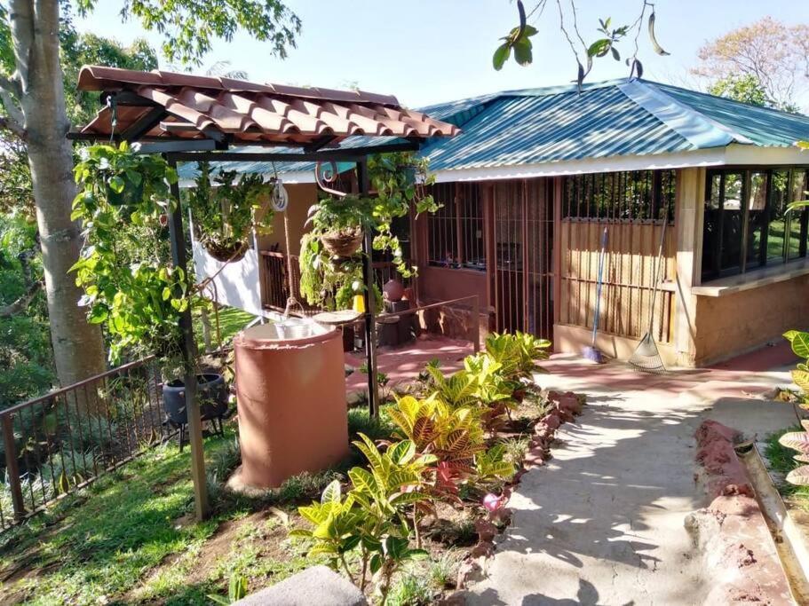 Eco Villas Tambor Tucanes Exterior photo