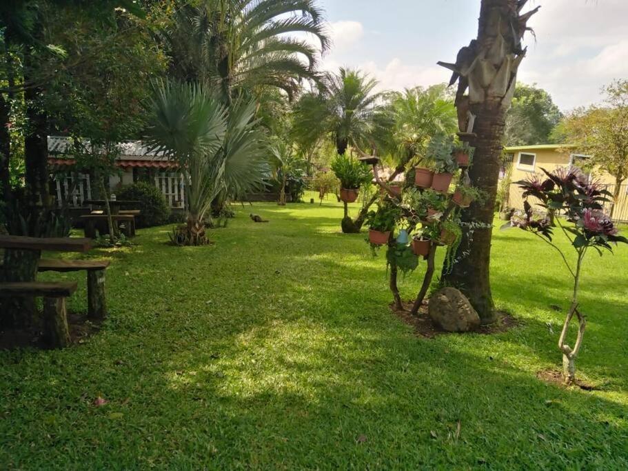 Eco Villas Tambor Tucanes Exterior photo
