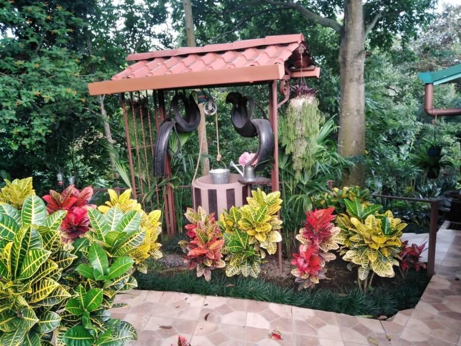 Eco Villas Tambor Tucanes Exterior photo
