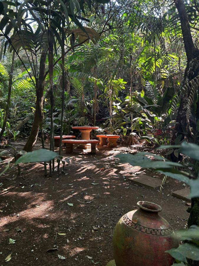 Eco Villas Tambor Tucanes Exterior photo