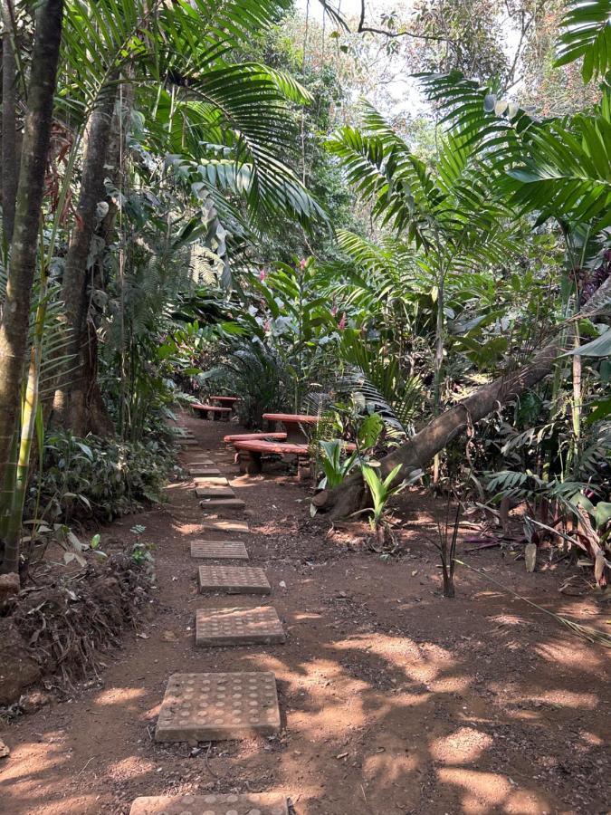 Eco Villas Tambor Tucanes Exterior photo