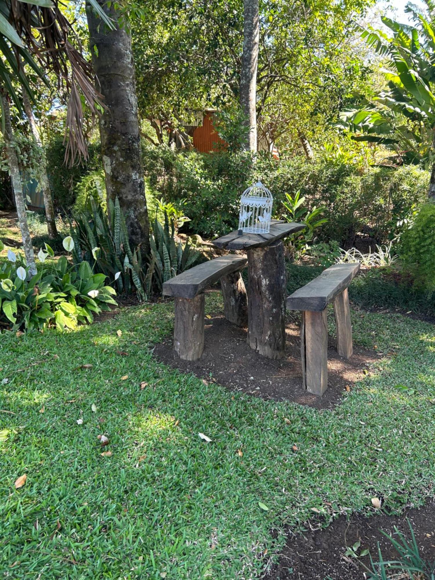 Eco Villas Tambor Tucanes Exterior photo