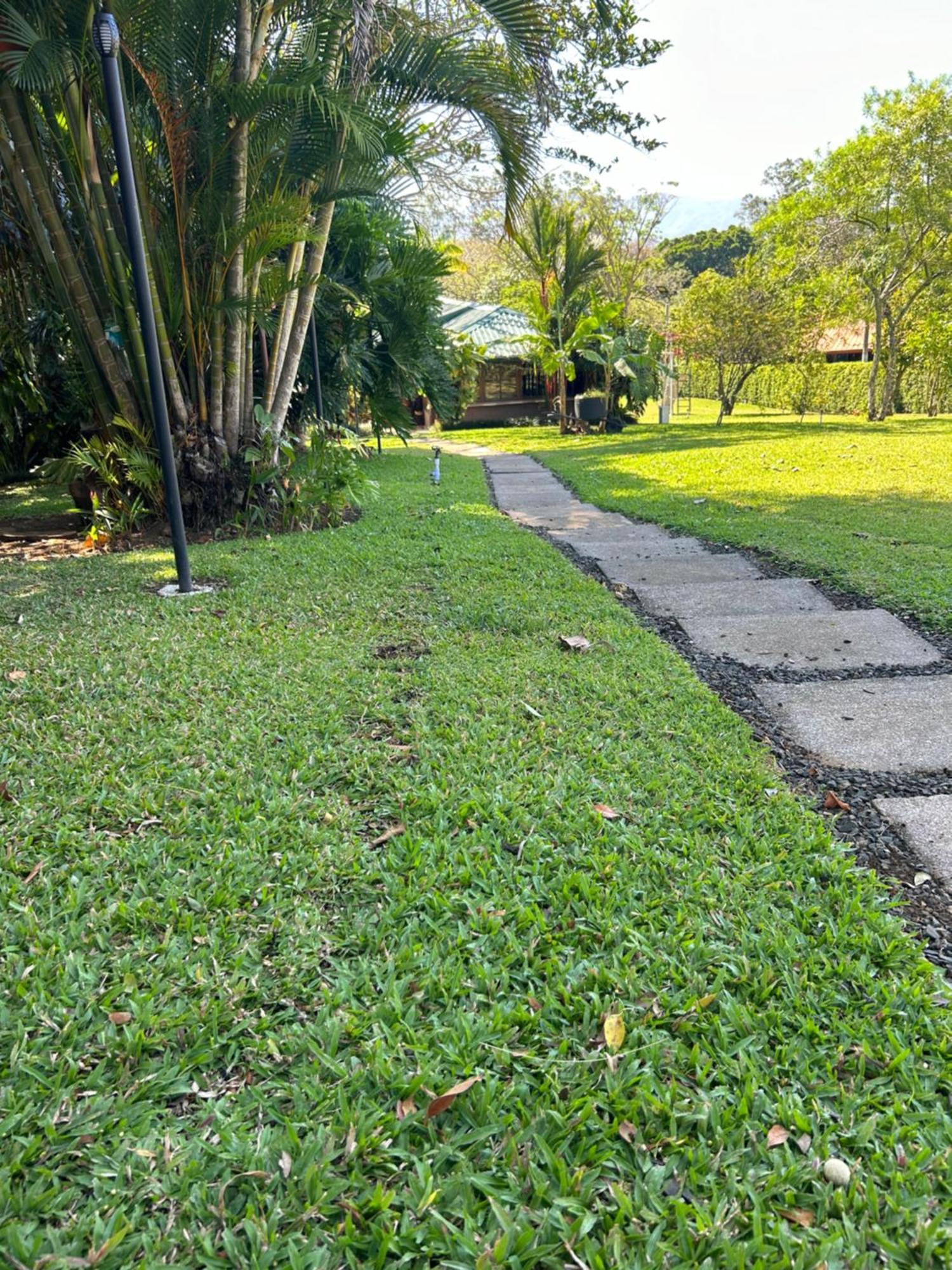 Eco Villas Tambor Tucanes Exterior photo