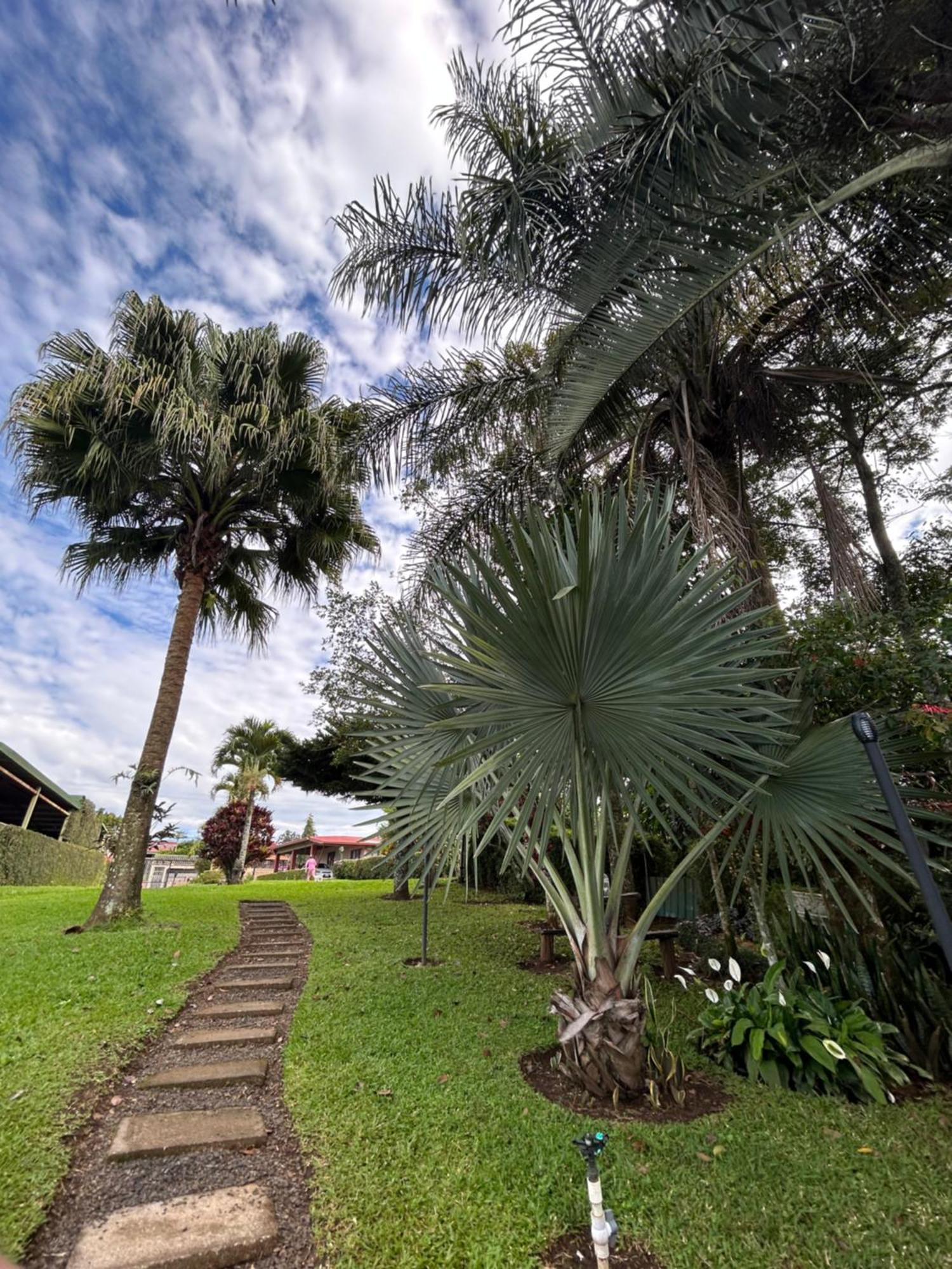 Eco Villas Tambor Tucanes Exterior photo